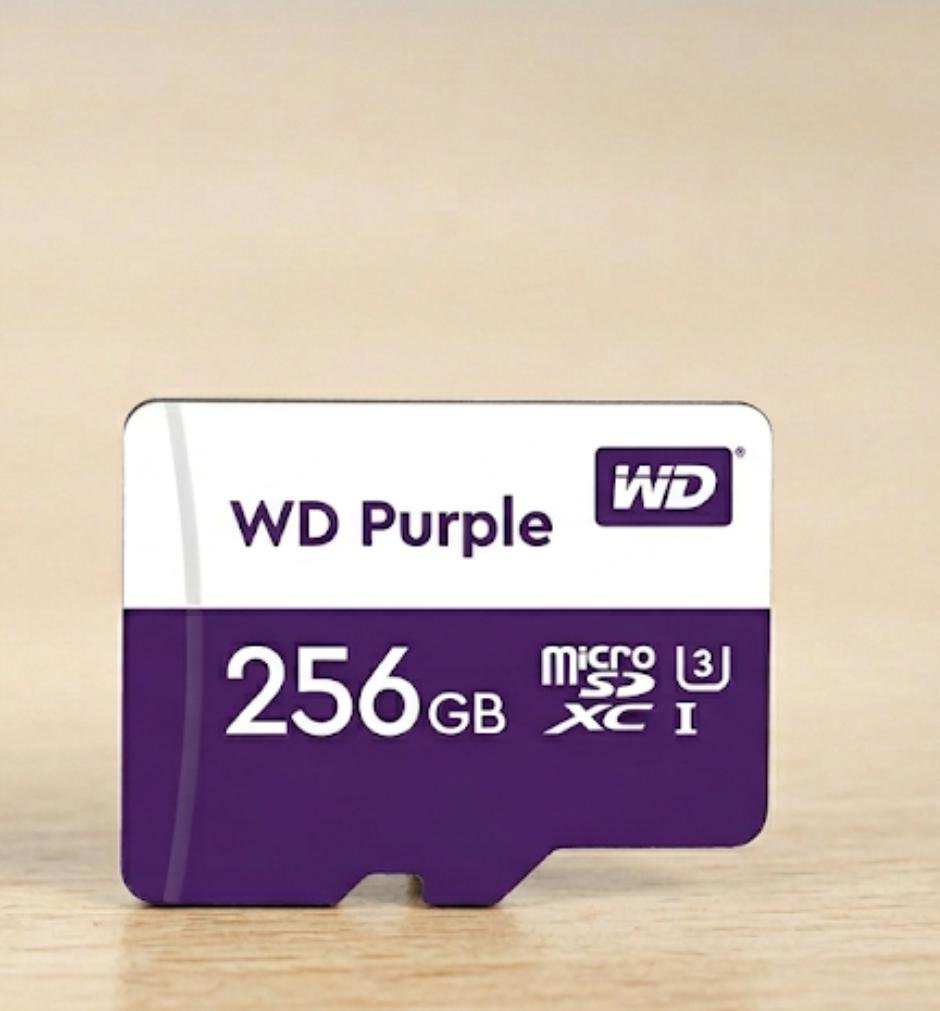 Micro sd 256gb